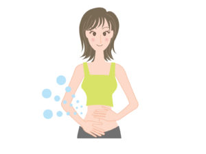 腸で働く乳酸菌のイメージ