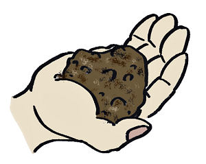 土を手の平にとっている画像